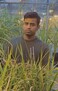 Nitin Pawar